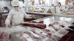 Por pedido del sector ganadero, el Gobierno extiende el plazo para que se cumpla con el 60% del cupo de Cuota Hilton