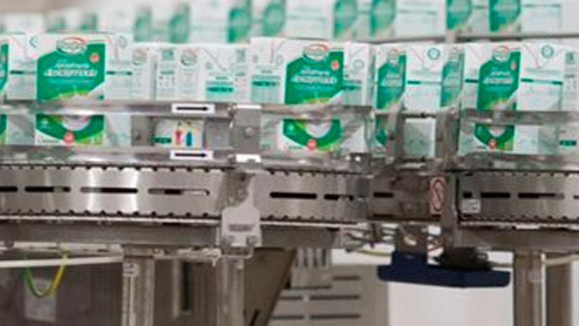 Lechería: Analizan un plan estratégico para la reconversión del cooperativismo lácteo argentino