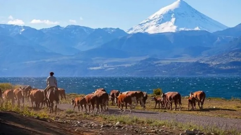 Barrera Sanitaria: Patagonia insiste en correrla hacia el norte del país