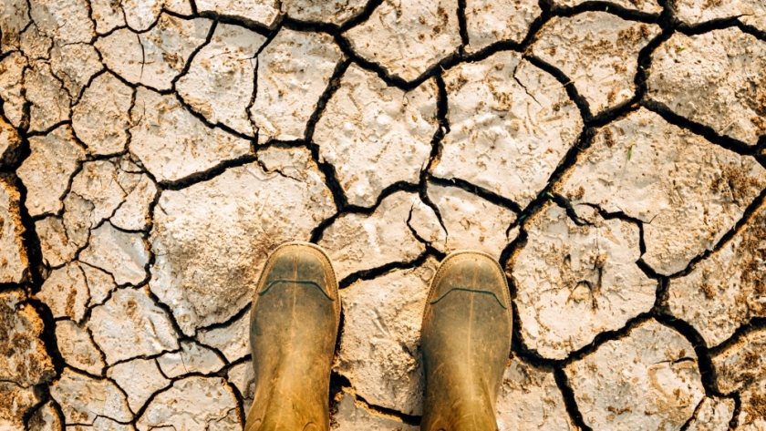 Cambio climático, tema del segundo encuentro de la Capacitación Ambiental para Periodistas