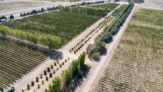 La Pampa amplía el horizonte de producción y sumará 500 hectáreas bajo riego en Casa de Piedra