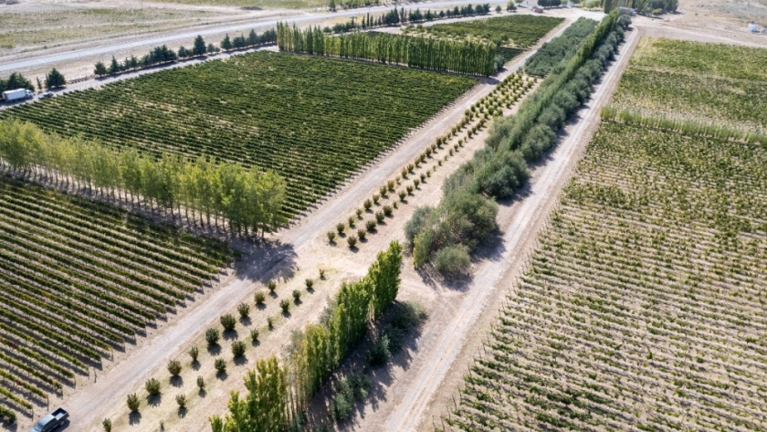 La Pampa amplía el horizonte de producción y sumará 500 hectáreas bajo riego en Casa de Piedra