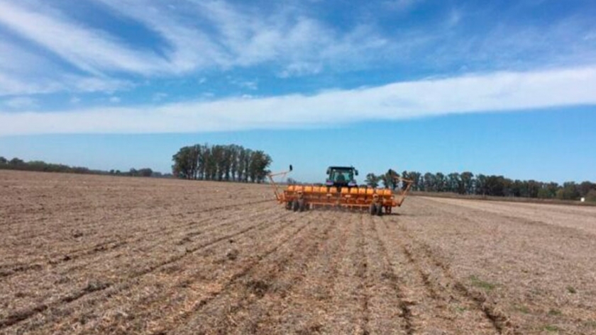 Terminó la siembra de soja en la Argentina con una perspectiva de producción que (por ahora) es de 46 millones de toneladas