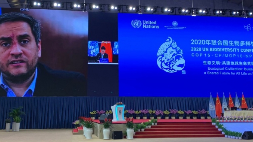 Cabandié participó de la decimoquinta conferencia de la ONU sobre biodiversidad