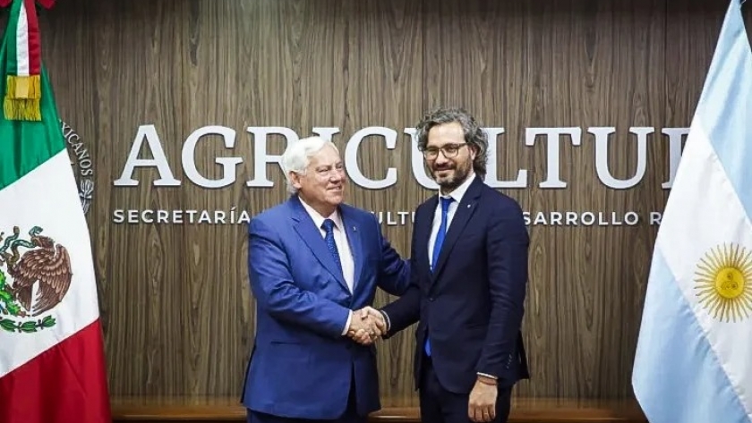 El arroz palay argentino ingresa al mercado de México