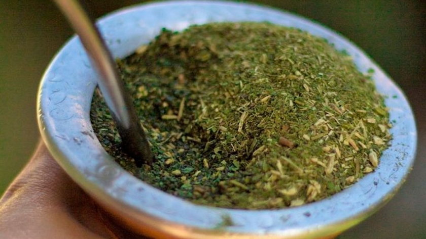 Un extracto soluble de yerba mate será utilizado en jugos naturales