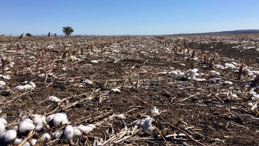 La Provincia coordina la recepción de declaraciones juradas por la emergencia agropecuaria