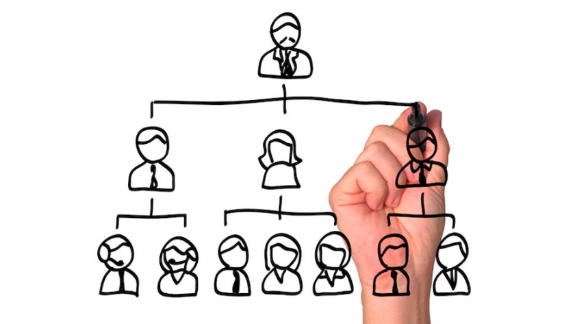 Empresas familiares: cómo lograr trascender