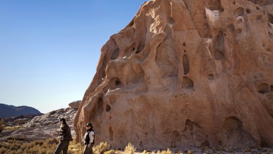 Parque Nacional San Guillermo: Un Refugio de Alta Montaña para las Vicuñas en la Puna Sanjuanina
