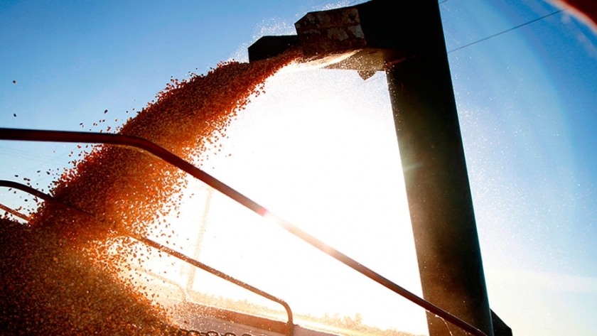 Récord total: Argentina embarcó 60 millones de toneladas de granos en 2019