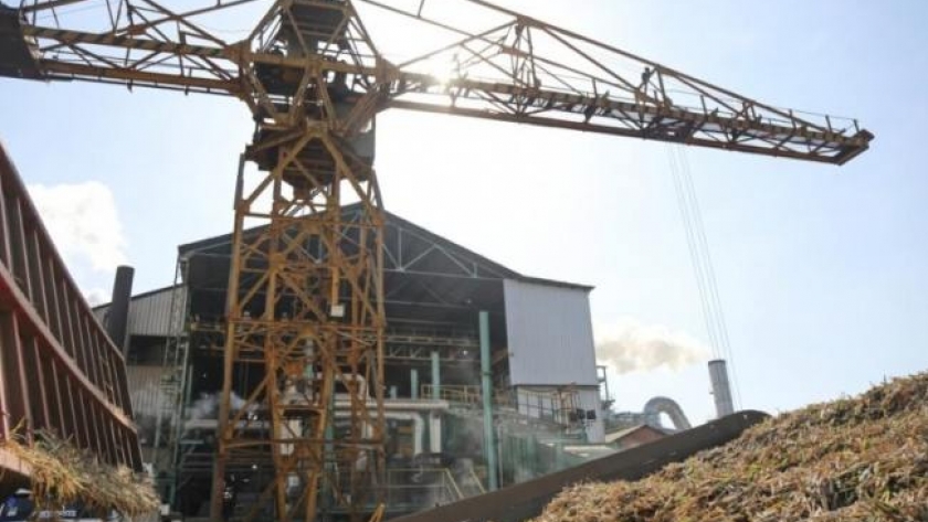 La molienda alcanzó un 70% de avance en Tucumán