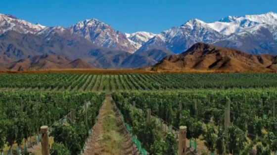 Se viene el Seminario internacional de nuevas tendencias en la vitivinicultura