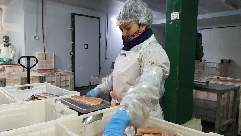 El Gobierno suma un incentivo económico para impulsar las exportaciones de trucha arcoiris