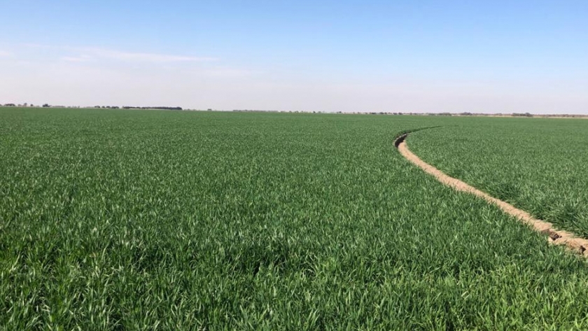 Córdoba comienza a medir su huella agropecuaria