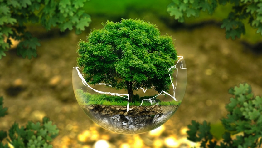 El OPDS y referentes de Universidades Nacionales preparan un programa de formación en perspectiva ambiental para la gestión pública