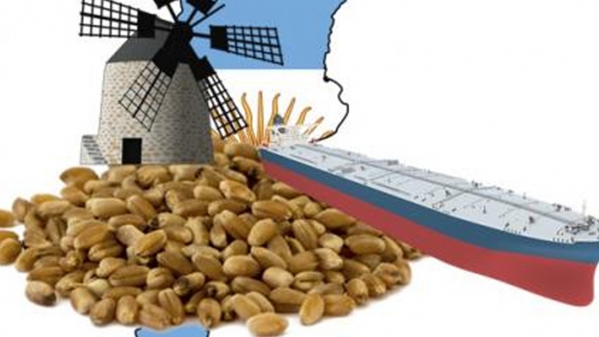 Mercado de granos. Trigo argentino: la virtud de ser proactivos