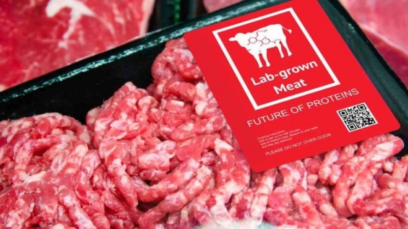 La Carne Cultivada en laboratorio:¿una falsa esperanza para el planeta?