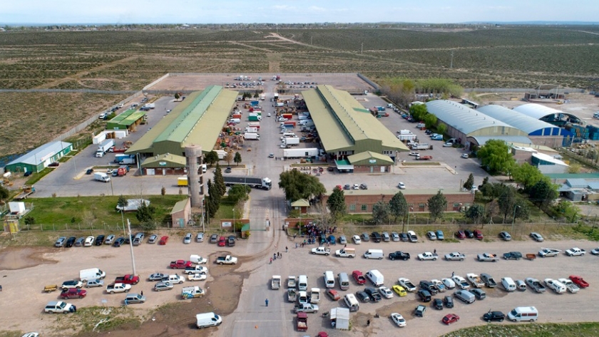 Nueva nave de galpones y locales en el Mercado Concentrador del Neuquén
