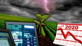 La soja, en el ojo de la tormenta