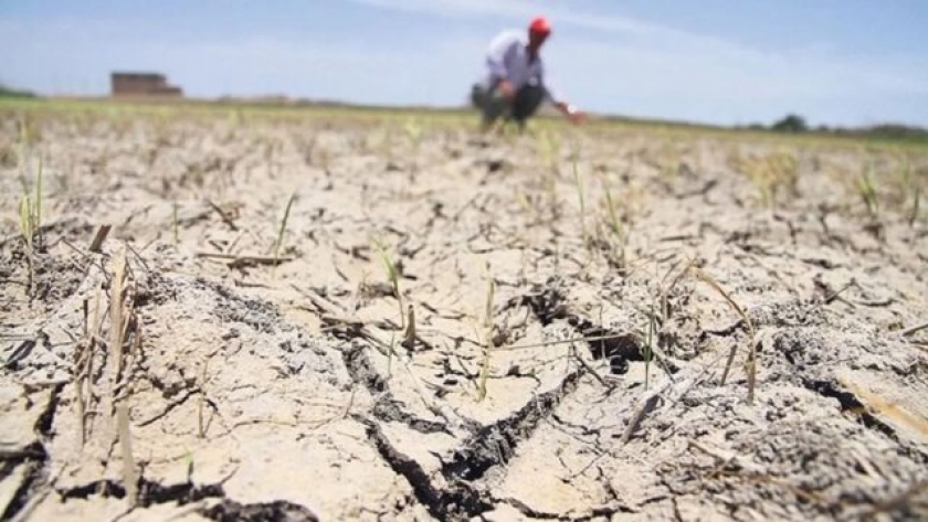 Piden declarar emergencia agropecuaria en La Pampa, Córdoba y Río Negro