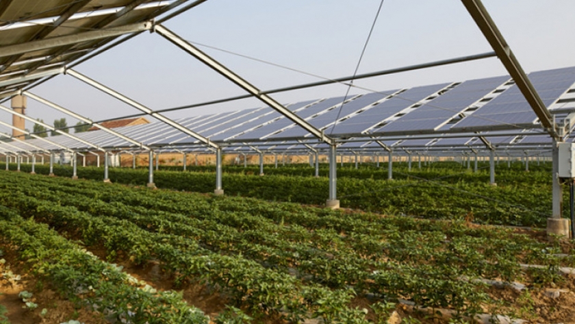 Agrivoltaísmo, para conciliar rendimientos agrícolas y energías renovables