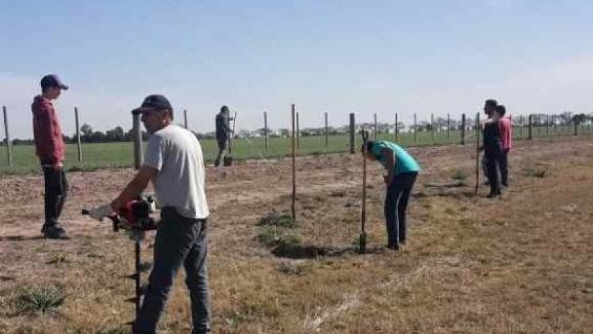 Sembrando Esperanza: nueva jornada de plantación de árboles