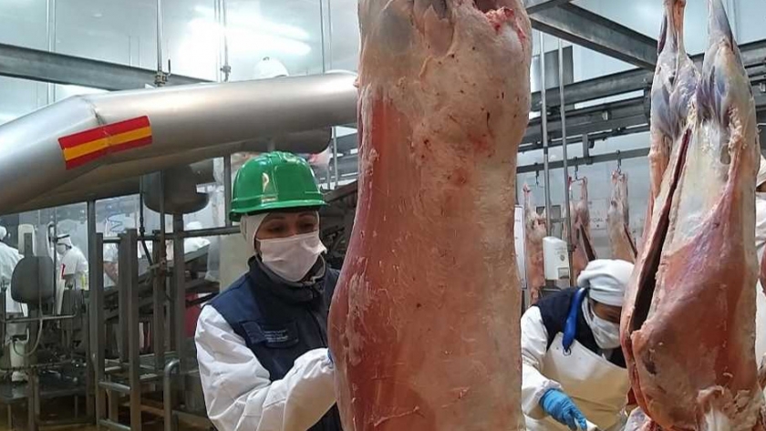 Certificación de 15 toneladas de carne ovina congelada con hueso a Japón