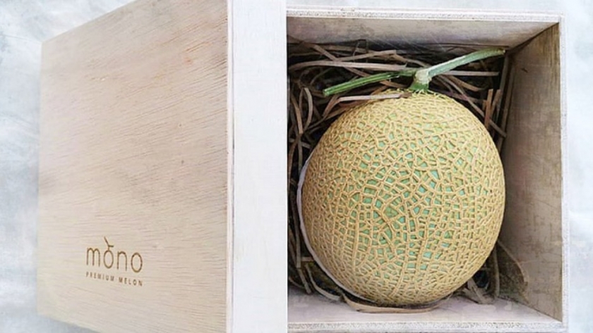 Un grupo de agricultores cultivan melones japoneses, una de las frutas más caras del mundo, en pleno centro de Malasia
