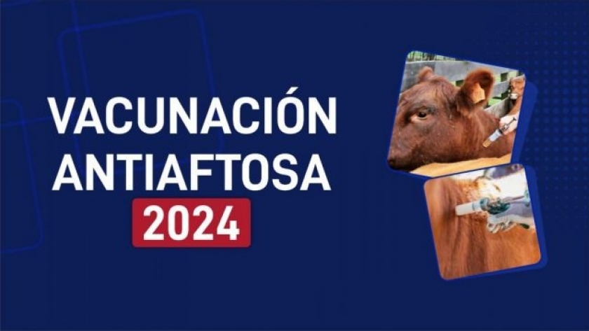 Salta: En abril se iniciará la vacunación contra la fiebre aftosa