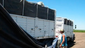 La cadena agroindustrial pide a provincias y municipios que dejen entrar los camiones