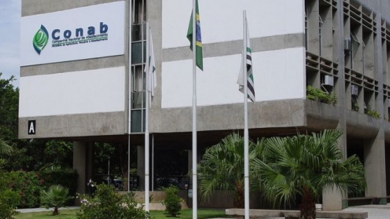 Brasil eleva proyección de cosecha de maíz tardío: Conab estima 137 millones de toneladas