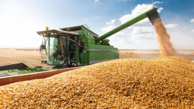 Argentina logra luz verde para exportar maíz a China: oportunidad histórica en el mercado global