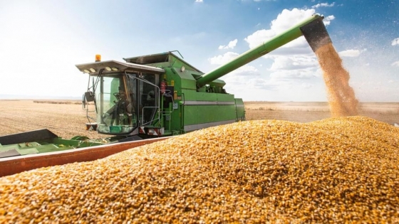 Argentina logra luz verde para exportar maíz a China: oportunidad histórica en el mercado global