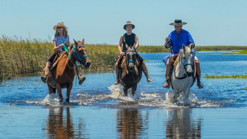 Turismo: Esteros del Iberá, Corrientes invita