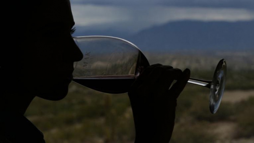 Descubrí los vinos tucumanos en una experiencia con todos tus sentidos