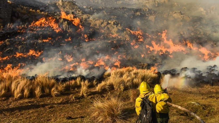 Extienden la emergencia agropecuaria por los incendios en Corrientes
