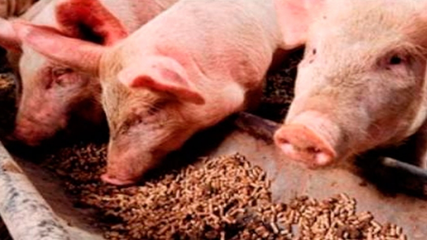 La pandemia y los costos nos obligan a ser más eficientes