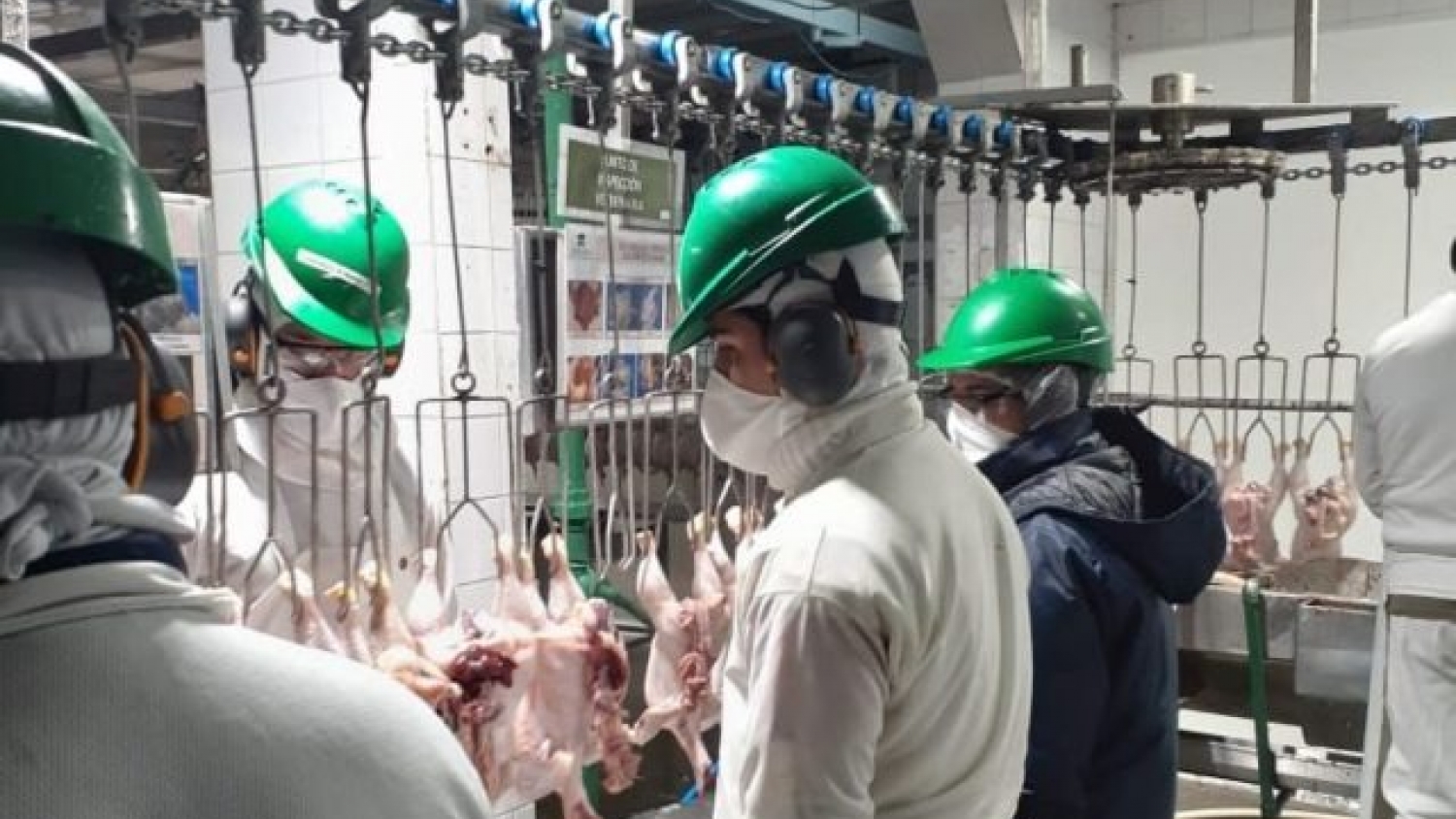 Regulaciones del comercio avícola: qué cambió en la guía regional
