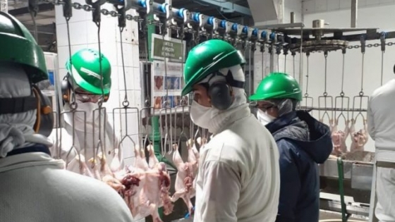 Regulaciones del comercio avícola: qué cambió en la guía regional