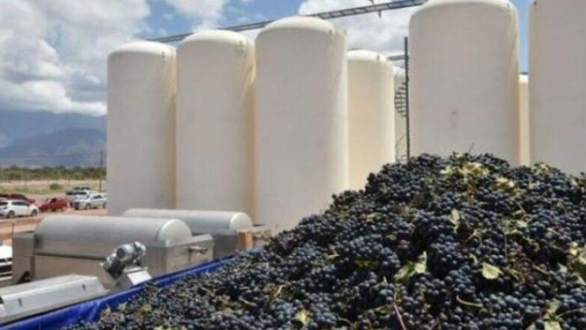 Debido a crisis internacional de logística, se demora exportación de mosto por Paso San Francisco