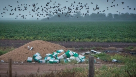Agroquímicos y desechos industriales enturbian el destino del Gran Chaco argentino