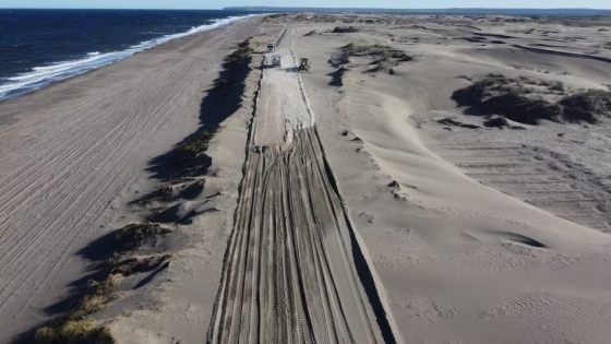 Ruta de los Acantilados: playas, fauna y paisajes únicos en la Patagonia costera rionegrina
