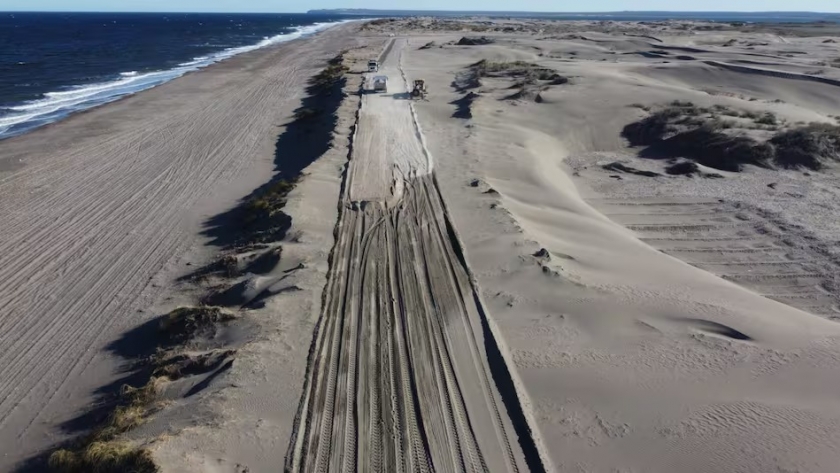 Ruta de los Acantilados: playas, fauna y paisajes únicos en la Patagonia costera rionegrina