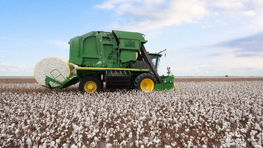 Producción algodonera: el gobierno salteño fomenta el crecimiento de la actividad con la entrega de semillas