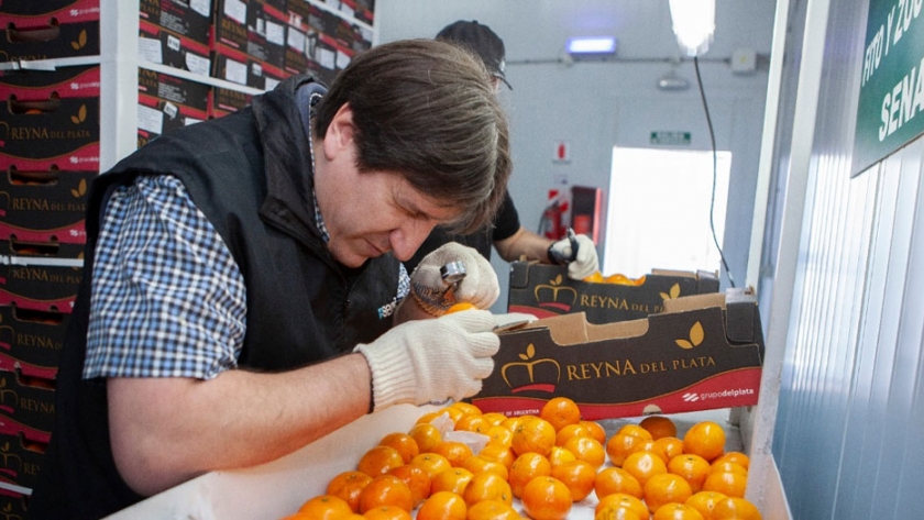 Súbita decisión de la UE de suspender las exportaciones de cítricos argentinos