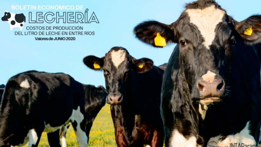 Costos de producción del litro de leche en Entre Ríos. Valores de junio 2020