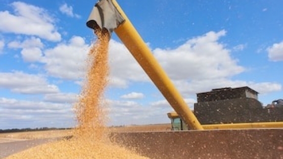 Javier Rotondo: “La obsecuencia no es el camino para el campo argentino”