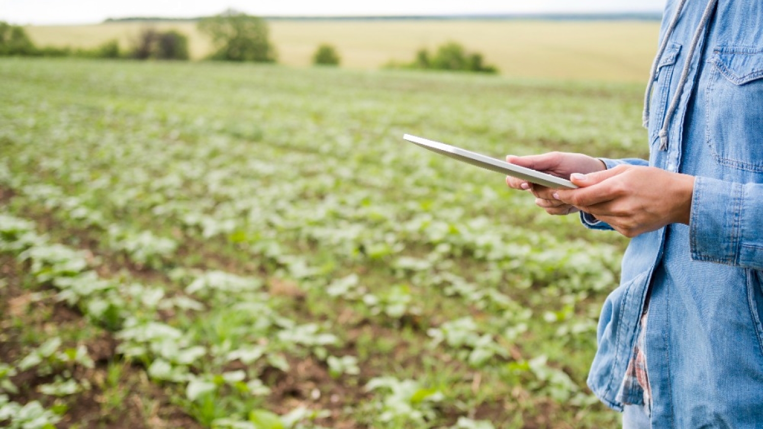 Charla virtual: Inteligencia Artificial, la transformación digital en el agro