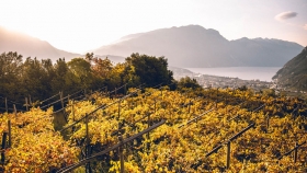 Trentino, Italia, galardonada como "Región vinícola del año" 2020 por Wine Enthusiast