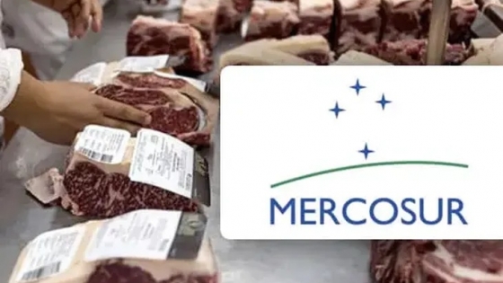 ¿Es cara la carne en Argentina, respecto de lo que pagan nuestros vecinos?